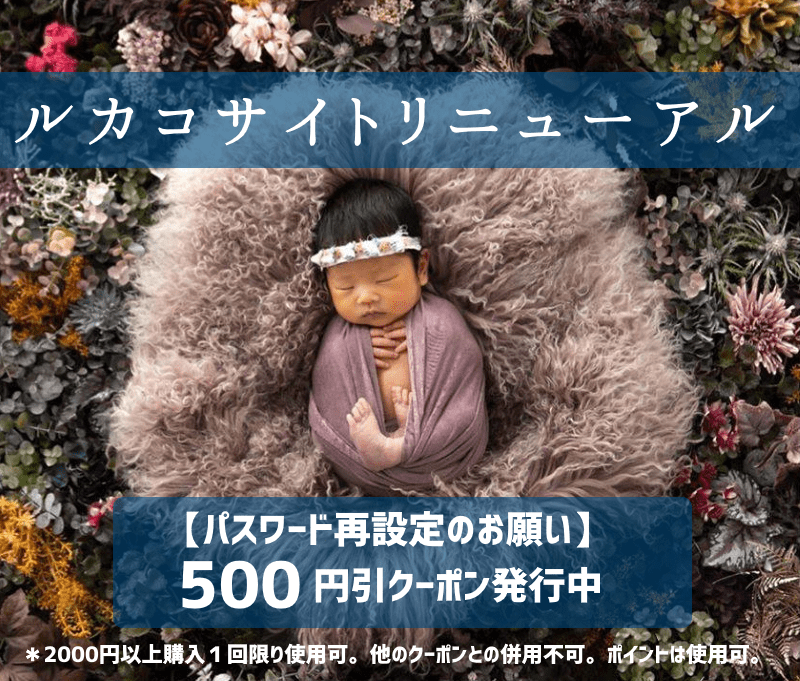 会員登録または会員パスワード再設定で500円引クーポンプレゼント