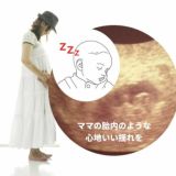 ウィールズ(wheelzzz)【ブルー】ベビーカーで寝かしつけ！新生児～1歳2歳3歳のスペイン生まれのベビーカーでドライブ中のカタンカタンの心地よさ1000-31-02