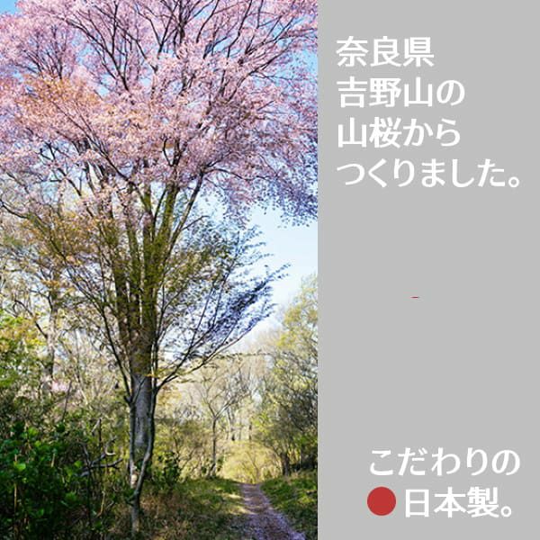 【乳歯ケース】乳歯生え変わりの5歳6歳7歳 乳歯保存(とっておく)おしゃれな木製乳歯ケース日本製 脱脂綿ピンセット付き1000-21-33