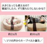 【同梱用】【おやすみたまごキープベルト】柔らかい素材で優しくホールド寝返り防止ベルト1000-03-15