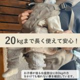 ダッグスリー（DaG3）テラスベビーヒップシート【グレー】折りたたみ20kgまで使えるシングルショルダー付きバッグ1000-45-09