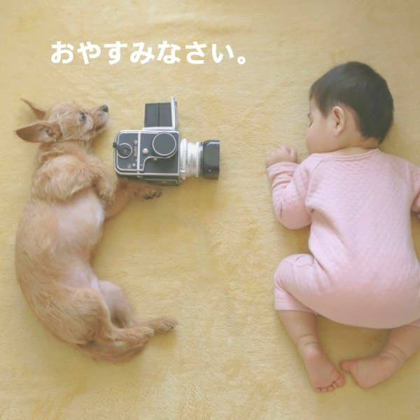 ひんやりパッド(ベビー用冷感パッド)赤ちゃん寝かしつけ暑さ対策