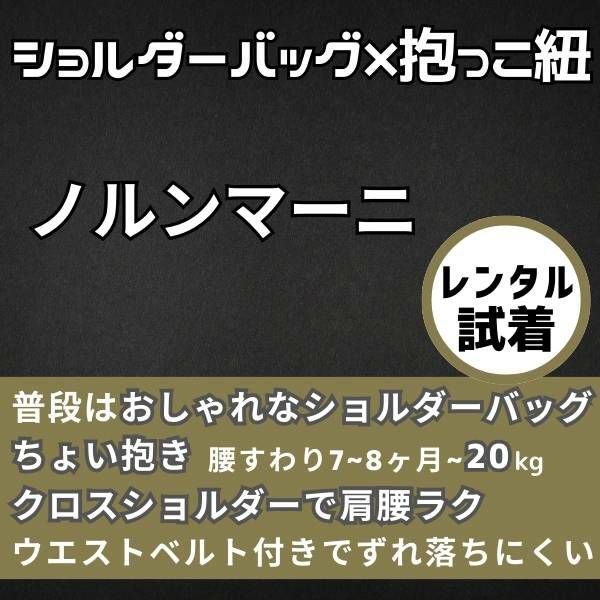 レンタル試着 ノルン(N/ORN)抱っこ紐バッグ(日本製)購入前にご自宅で