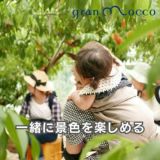 gran mocco(グランモッコ)おんぶ紐 ベーシック濃藍色(こいあいいろ)高い位置のおんぶで家事も楽々！熊本天草発の昔ながらのおんぶ紐を現代ママ目線でリデザインしたおんぶ紐。抱っこ紐、授乳ケープ、おむつ替えシート、チェアベルトとしても使用可 1000-58-01