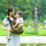 ダッコリーノ(daccolino)2歳から5歳 20kgまで使えるパパのアイデア抱っこ紐ヒップシート 日本製【コーデュラ ブラック】1000-52-10