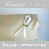おやすみたまごNB】授乳クッション薄型厚み1/2 ベビーベッド